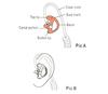 10 Left Medium Flesh Flexible SEMI Custom Ear Mold Insert Rubber Gel EARPIECE Police Patrol Duty Gear view 2