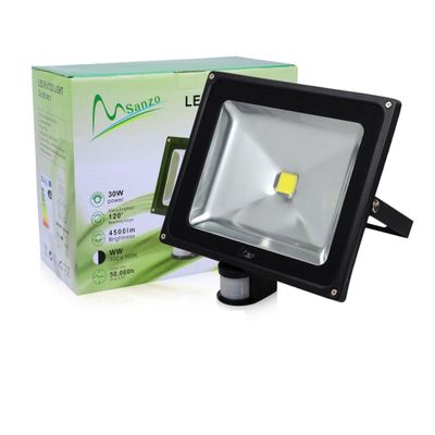 Porpora 30W LED Security Flood Light (1 Pack) Ideal for Outdoor Lighting Such as Parking lot Lighting, Construction Building, Advertisement Billboard, Landscape