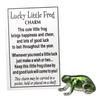 Ganz Lucky Little Frog Charm with Story Card! view 1