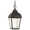 Feiss OL4011ORB Terrace Outdoor Lighting Pendant Lantern, 1-Light, 150watts, Bronze (8"W by 17"H) view 2
