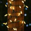 Novelty Lights 50FT 100 LED C6 Christmas String Lights, Warm White view 4