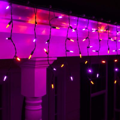 Wintergreen Lighting 70 Purple and Orange Mini LED Halloween Icicle Lights, 7 ft Black Wire Indoor/Outdoor Commercial Grade Party, Yard Decor & Outdoor Decorations