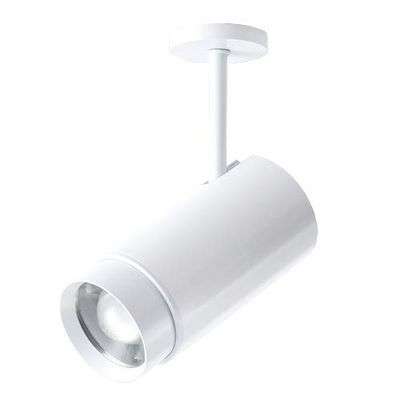 LUMINTURS Zoomable Lighting Focusing Picture Light SpotLight Wall Project Focus Lamp Beam-Angle Adjustable Fixture Light 20 watts White-Finish Warm white