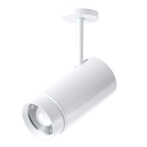 LUMINTURS Zoomable Lighting Focusing Picture Light SpotLight Wall Project Focus Lamp Beam-Angle Adjustable Fixture Light 20 watts White-Finish Warm white