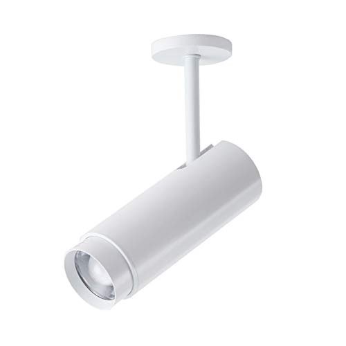 LUMINTURS Zoomable Lighting Focusing Picture Light SpotLight Wall Project Focus Lamp Beam-Angle Adjustable Fixture Light 10 watts White-Finish Warm white