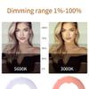 GSKAIWEN 18 inch 65W LED Ring Light Mirror Make Up Beauty Light Studio Video Light Photography Lighting with Stand Bag for Portrait Selfie,Wedding Photography, Night Video,YouTube, Camera/Phone Video view 2