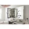 KOHLER Mastershower 60 Hose view 2