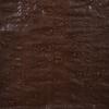 Stansport Light-Duty Rip-Stop Tarp 12' x 14' - Brown view 3