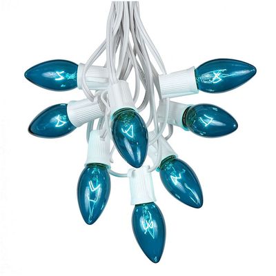 Novelty Lights Teal Hanging Incandescent Christmas String Lights, 25' Long