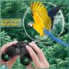 Aurosports 10x25 Binoculars for Adults and Kids, Large View Compact Binoculars for Bird Watching, Easy Focus Small Binocular with Low Light - Ideal for Theater Concerts Travel Hunting Hiking view 2