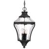 Minka Lavery Outdoor Pendant Lighting 72564-66 Libre, 4-Light 240 Watts, Black view 1