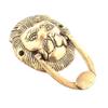 IndianShelf 1 Piece Brass Lion Head Multicolor Door Knocker view 1