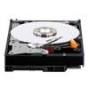 Western Digital 500GB SATA 3.5 Hard Drive - WD5000AAKX-60U6AA0 view 1