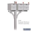 Salsbury Industries 4378SLV Arm Kit Replacement for Deluxe Post for 2 Roadside Mailboxes, Silver view 4