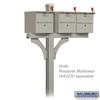 Salsbury Industries 4378D-NIC Arm Kit Replacement for Deluxe Post for 2 Designer Roadside Mailboxes, Nickel view 4