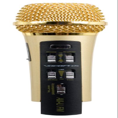 VocoPro ALLUKARAOKEFMMIC All-U Karaoke FM Mic for Android & IOS